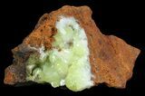 Gemmy, Yellow-Green Adamite Crystals - Durango, Mexico #65295-1